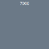 7000 7000