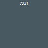 7031 7031